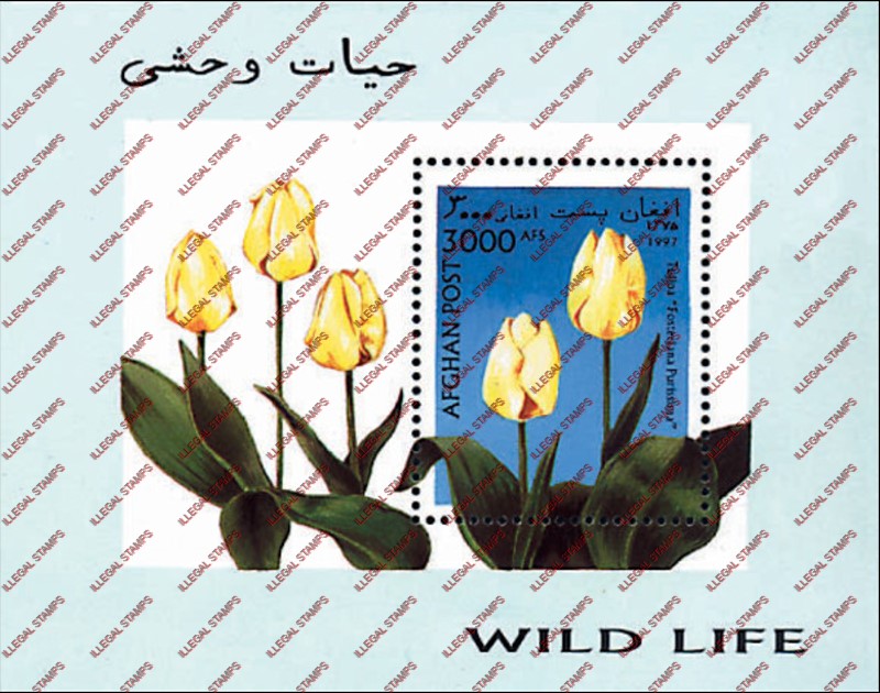 Afghanistan 1997 Tulips Illegal Stamp Souvenir Sheet of One