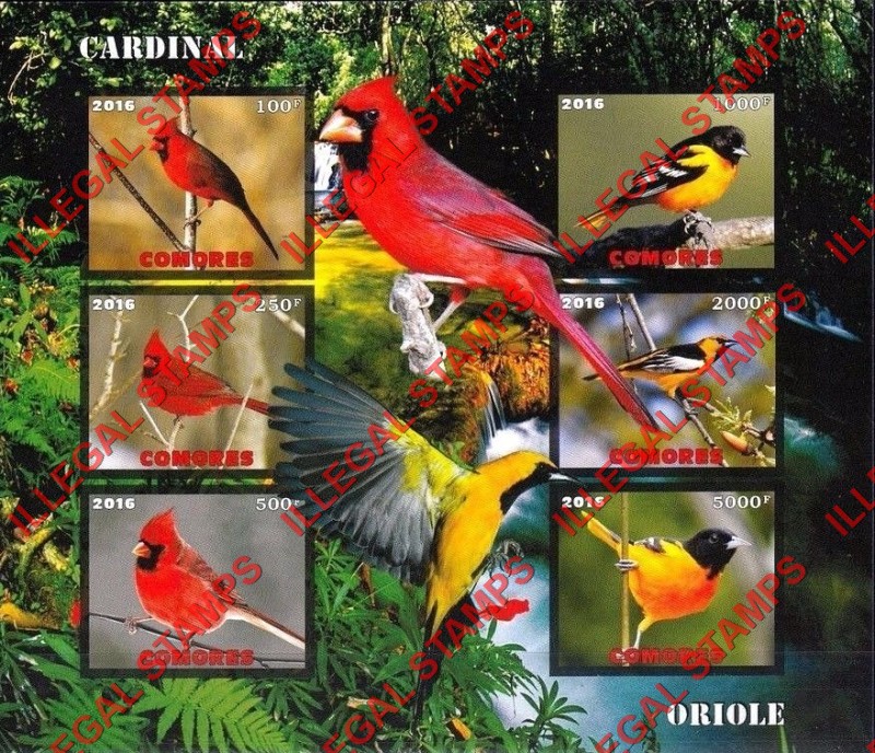 Comoro Islands 2016 Birds Cardinals Counterfeit Illegal Stamp Souvenir Sheet of 6