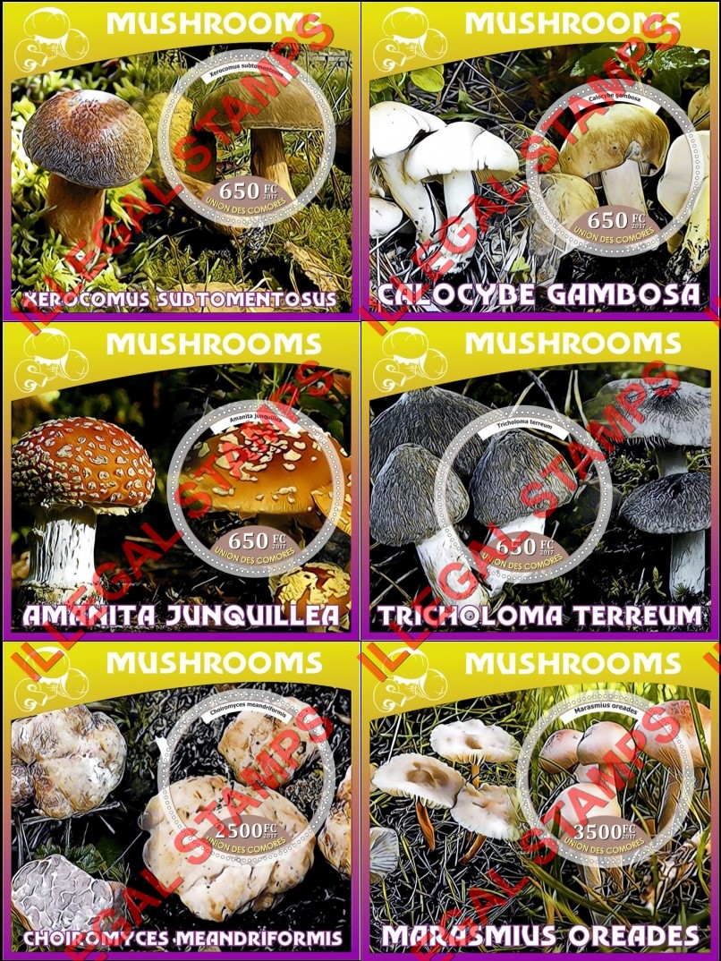 Comoro Islands 2017 Mushrooms Counterfeit Illegal Stamp Souvenir Sheets of 1