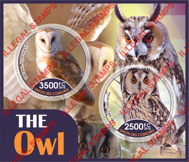 Comoro Islands 2018 Owls Counterfeit Illegal Stamp Souvenir Sheet of 2