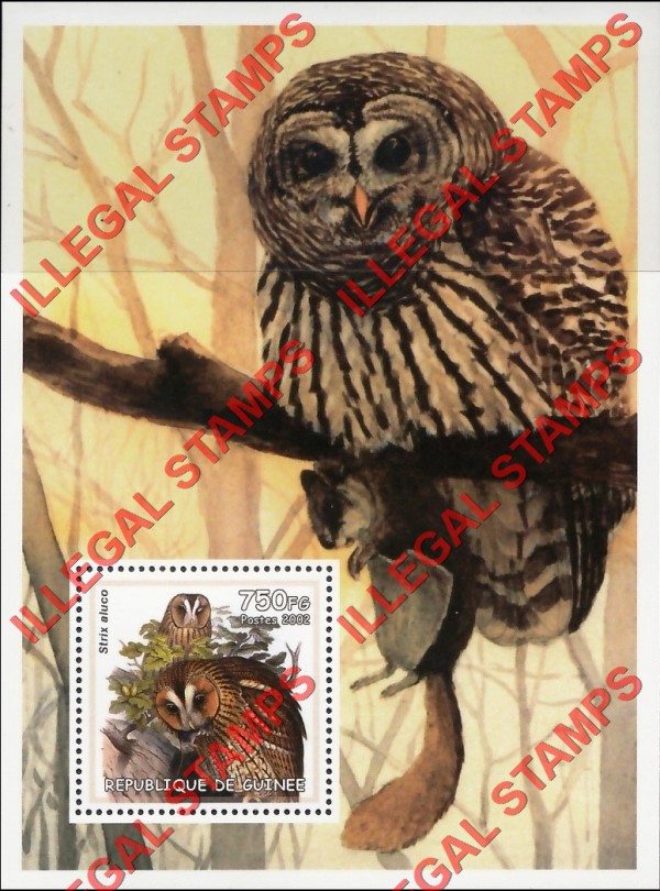 Guinea Republic 2002 Owls Illegal Stamp Souvenir Sheet of 1