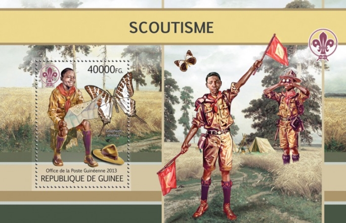 Guinea Republic 2013 Scouting Scoutisme Legal Issue