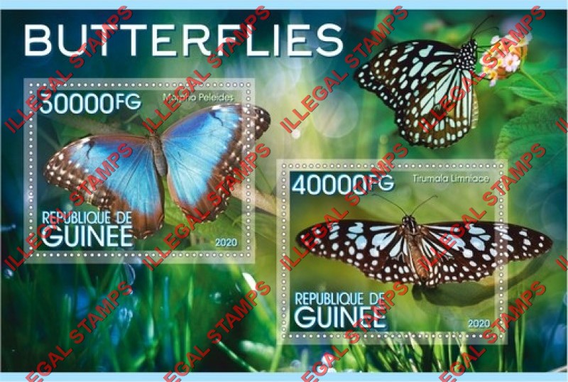 Guinea Republic 2020 Butterflies (different a) Illegal Stamp Souvenir Sheet of 2