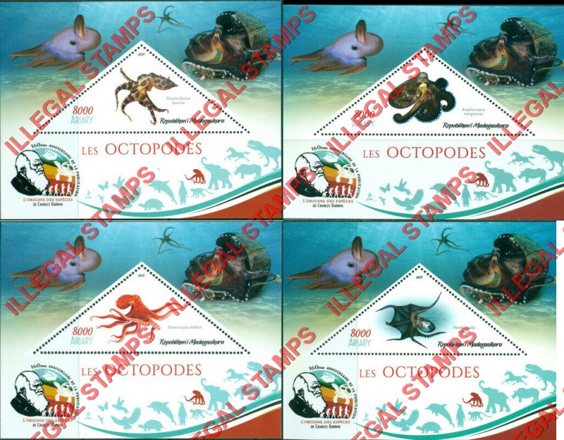 Madagascar 2019 Octopus Illegal Stamp Souvenir Sheets of 1
