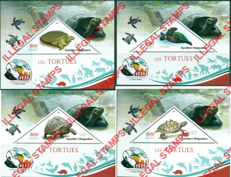 Madagascar 2019 Turtles Illegal Stamp Souvenir Sheets of 1