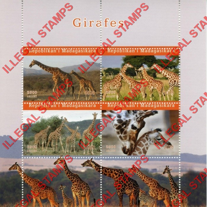 Madagascar 2020 Giraffes Illegal Stamp Souvenir Sheet of 4