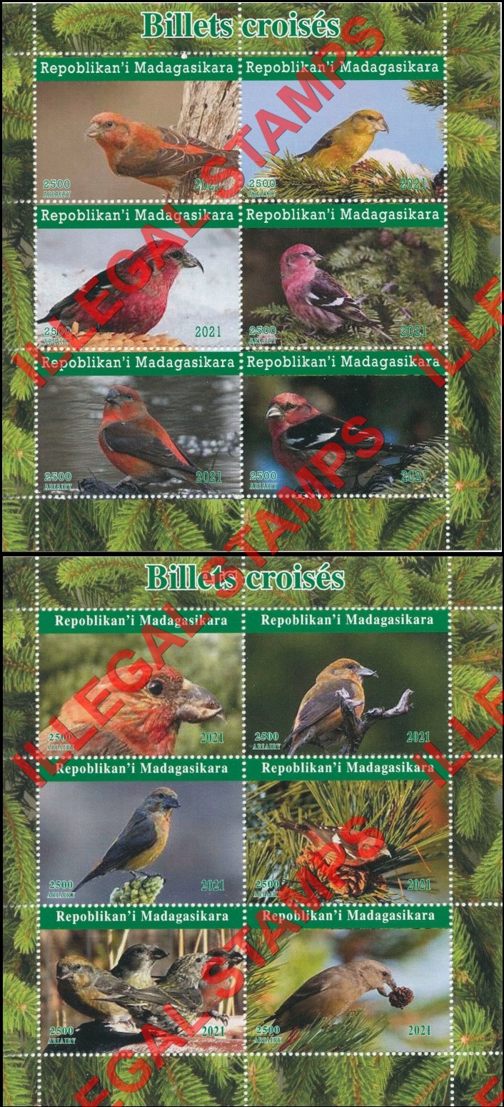 Madagascar 2021 Birds Crossbills Illegal Stamp Souvenir Sheets of 6