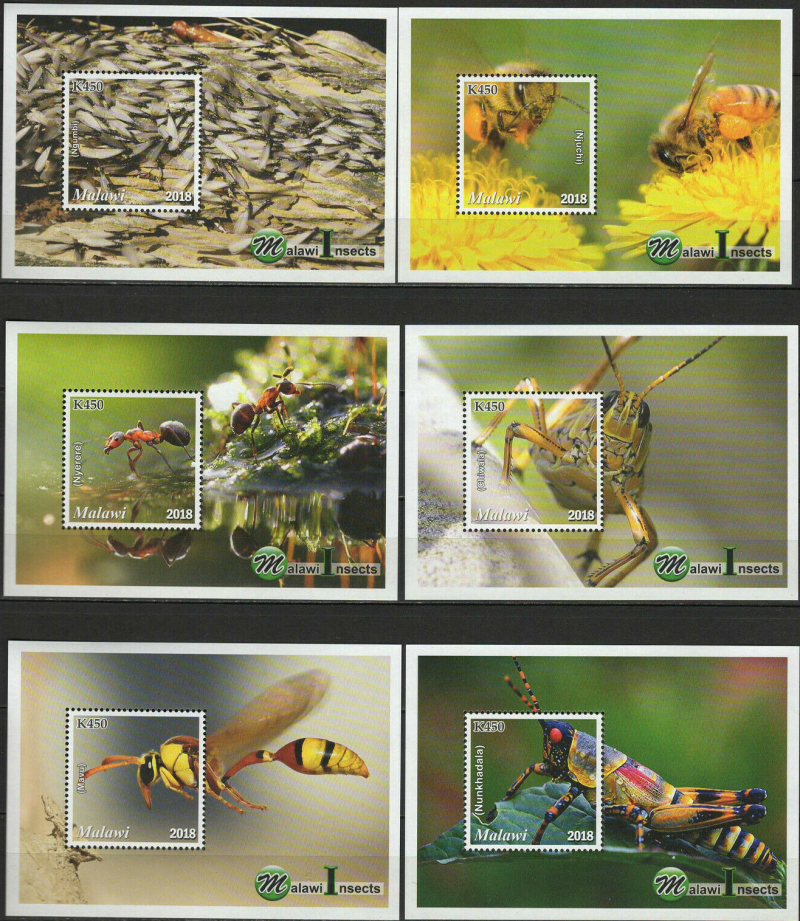 Malawi 2018 Insects of Malawi Souvenir Sheets of 1