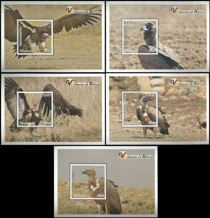 Malawi 2018 Vultures of Africa Souvenir Sheets of 1