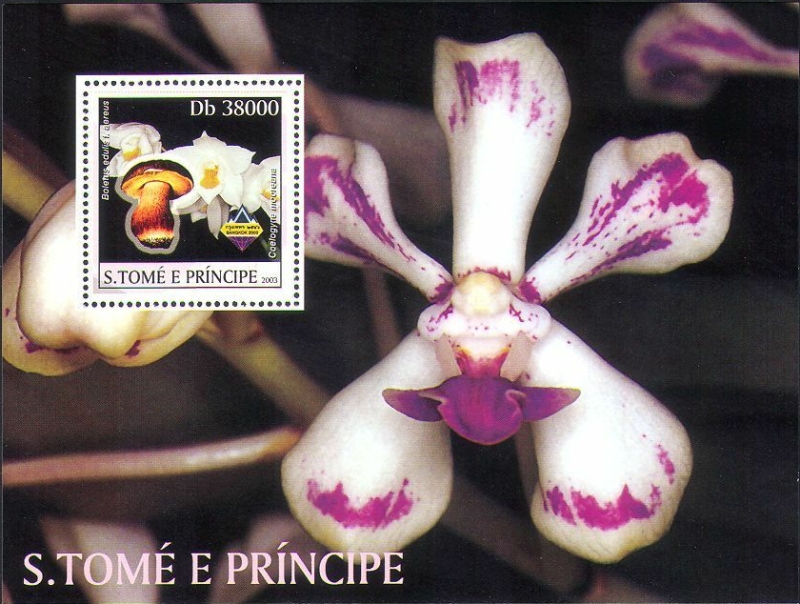 Saint Thomas and Prince Islands 2003 Mushrooms and Orchids Souvenir Sheet of 1