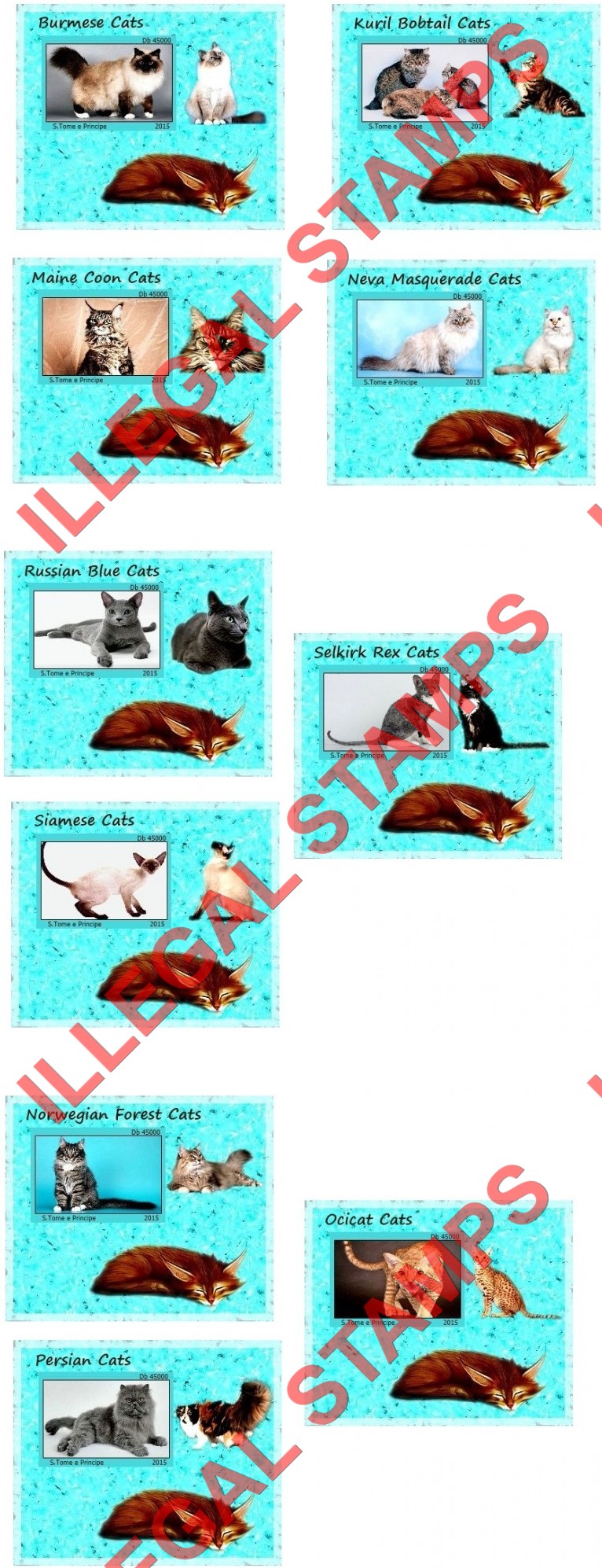 Saint Thomas and Prince Islands 2015 Cats (different) Illegal Stamp Souvenir Sheets of 1 (Part 2)