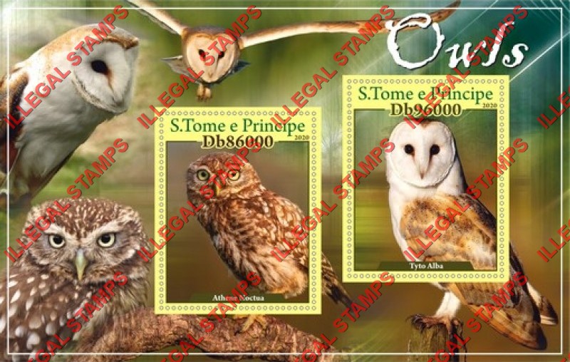 Saint Thomas and Prince Islands 2020 Owls Illegal Stamp Souvenir Sheet of 2