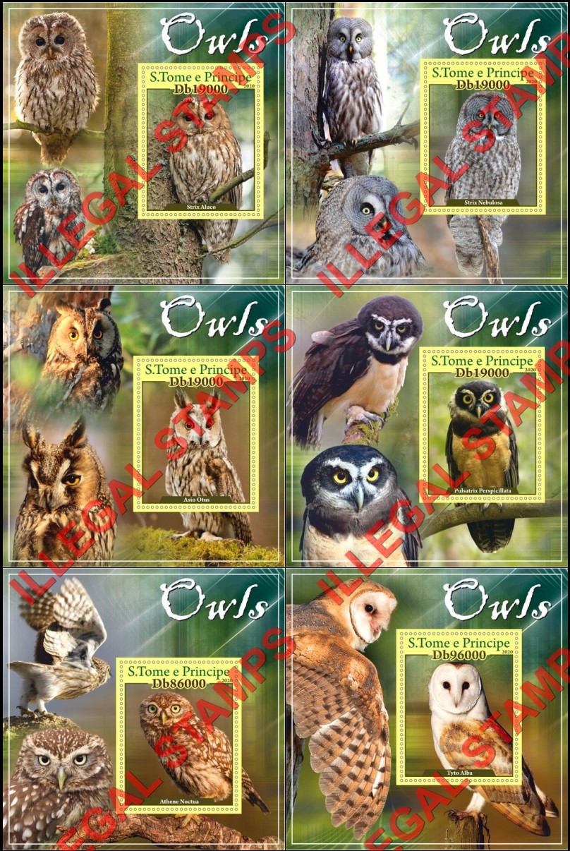 Saint Thomas and Prince Islands 2020 Owls Illegal Stamp Souvenir Sheets of 1