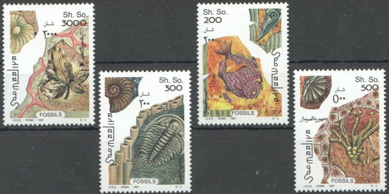 Somalia 1997 Animal and Vegetable Fossils Michel 628-631