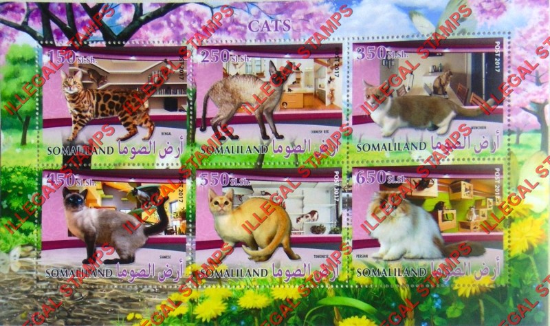 Somaliland 2017 Cats Illegal Stamp Souvenir Sheet of 6
