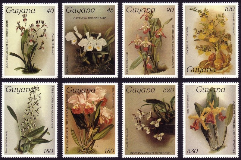 1986-7 Reichenbachia Orchids Watermarked (8th set) Stamps