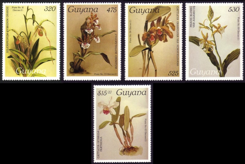 1988 Centenary of Publication of Sanders' Reichenbachia Orchids (29th issue) Stamps