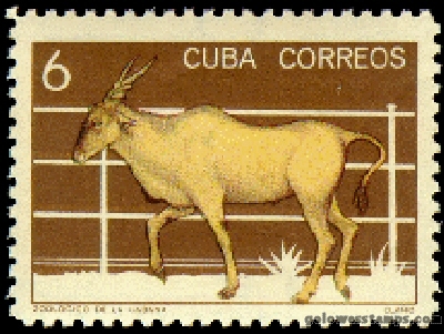 Cuba stamp scott 893