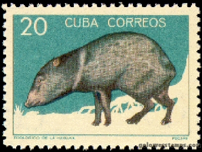 Cuba stamp scott 899