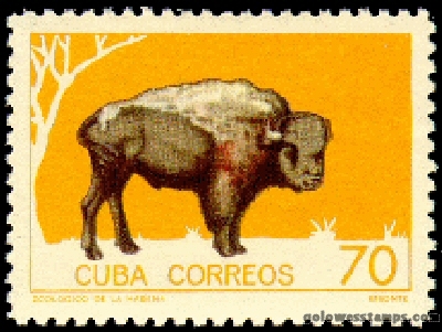 Cuba stamp scott 904