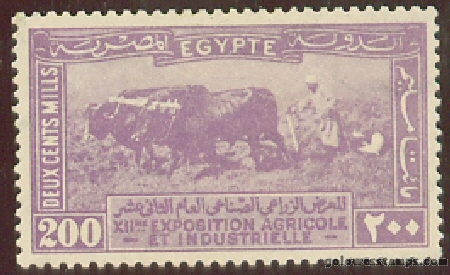egypt stamp scott 113