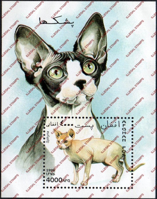 Afghanistan 1996 Domestic Cats Illegal Stamp Souvenir Sheet of One