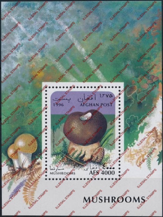Afghanistan 1996 Mushrooms Illegal Stamp Souvenir Sheet of One