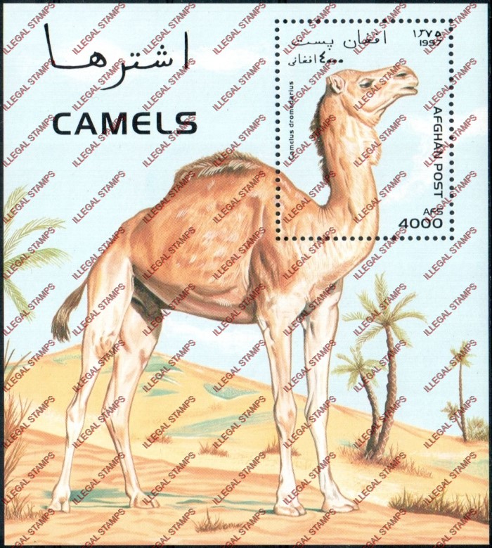 Afghanistan 1997 Llamas and Camels Illegal Stamp Souvenir Sheet of One