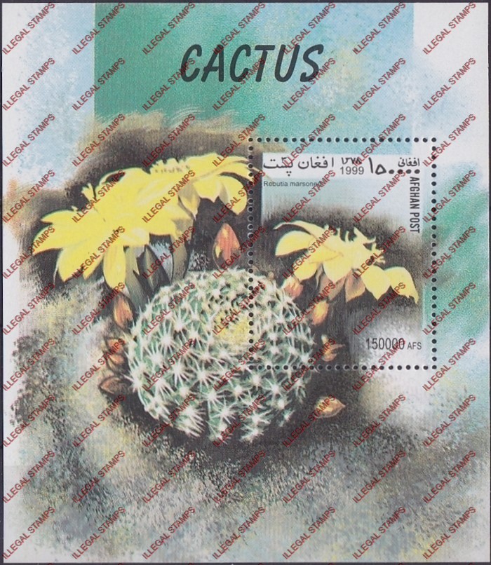 Afghanistan 1999 Cacti Cactus Illegal Stamp Souvenir Sheet of One