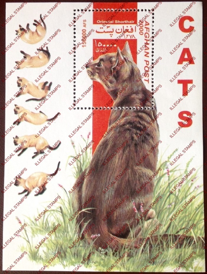 Afghanistan 2000 Cats Illegal Stamp Souvenir Sheet of One