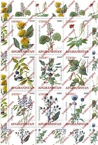 Afghanistan 2000 Flora Illegal Stamp Sheetlet of Nine