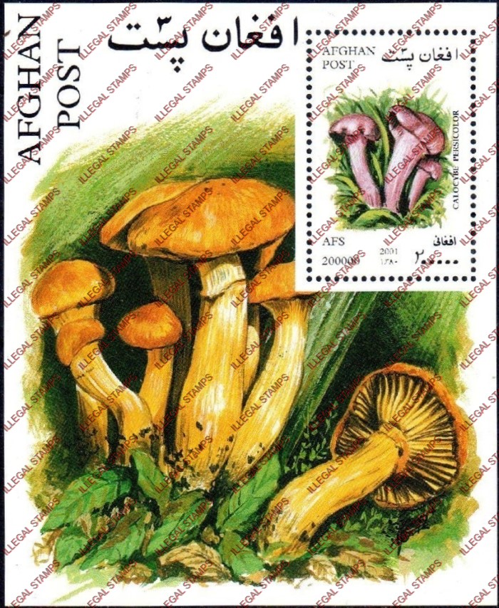 Afghanistan 2001 Mushrooms Illegal Stamp Souvenir Sheet of One