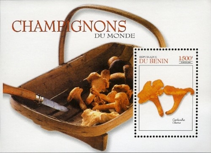 Benin 2003 Mushrooms of the World Souvenir Sheet