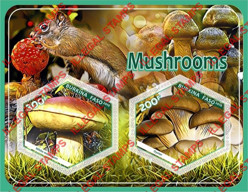 Burkina Faso 2018 Mushrooms (different a) Illegal Stamp Souvenir Sheet of 2