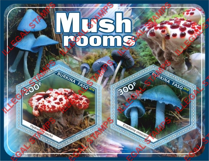 Burkina Faso 2018 Mushrooms (different) Illegal Stamp Souvenir Sheet of 2