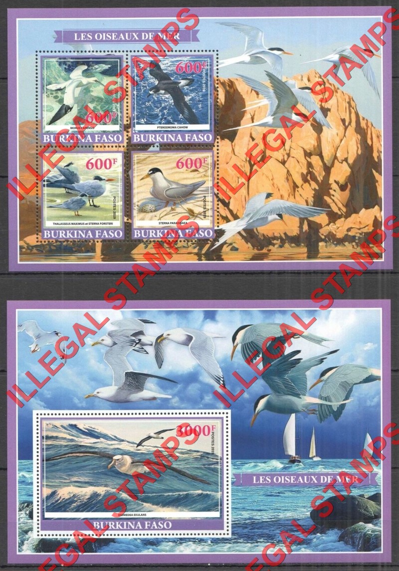 Burkina Faso 2019 Sea Birds Illegal Stamp Souvenir Sheets of 4 and 1