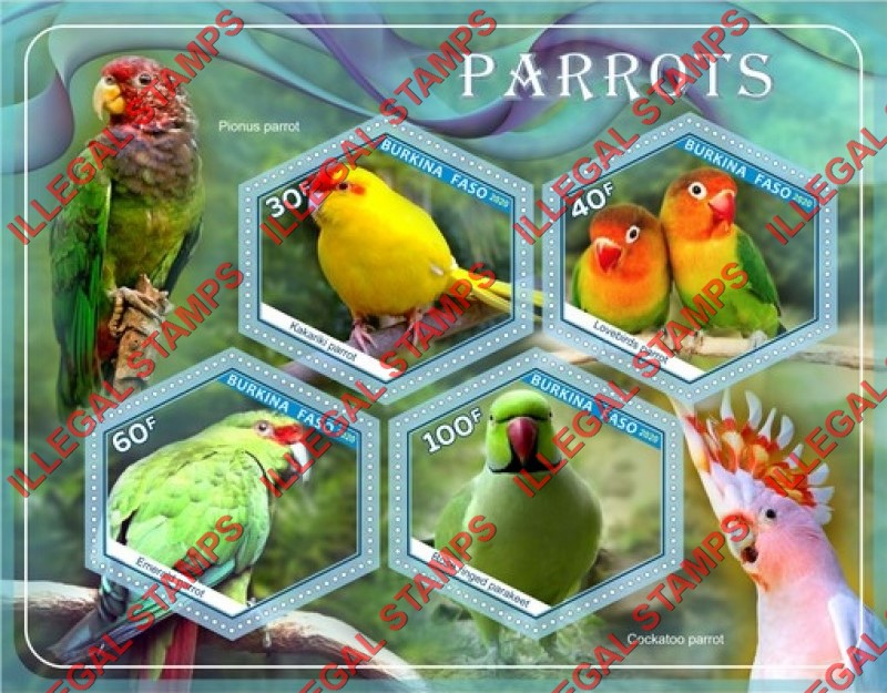 Burkina Faso 2020 Parrots (different) Illegal Stamp Souvenir Sheet of 4