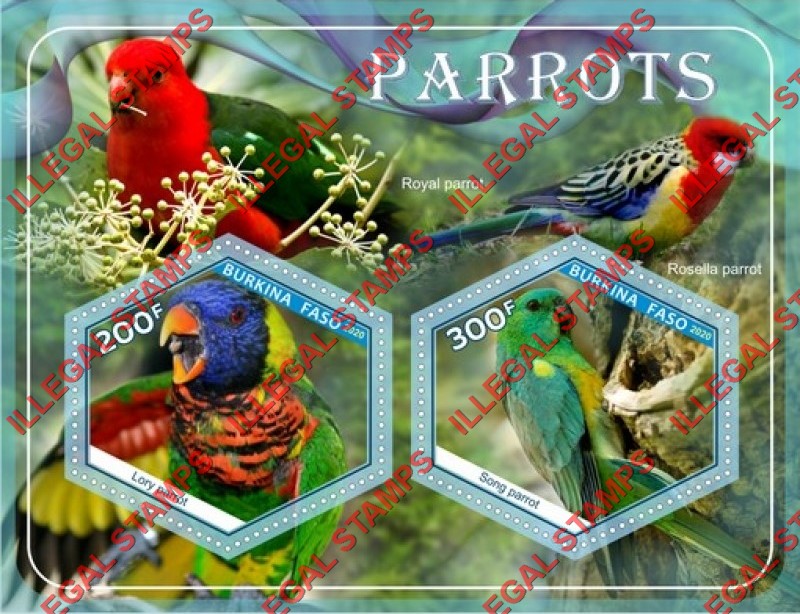 Burkina Faso 2020 Parrots (different) Illegal Stamp Souvenir Sheet of 2
