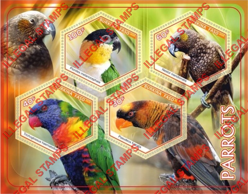 Burkina Faso 2020 Parrots Illegal Stamp Souvenir Sheet of 4