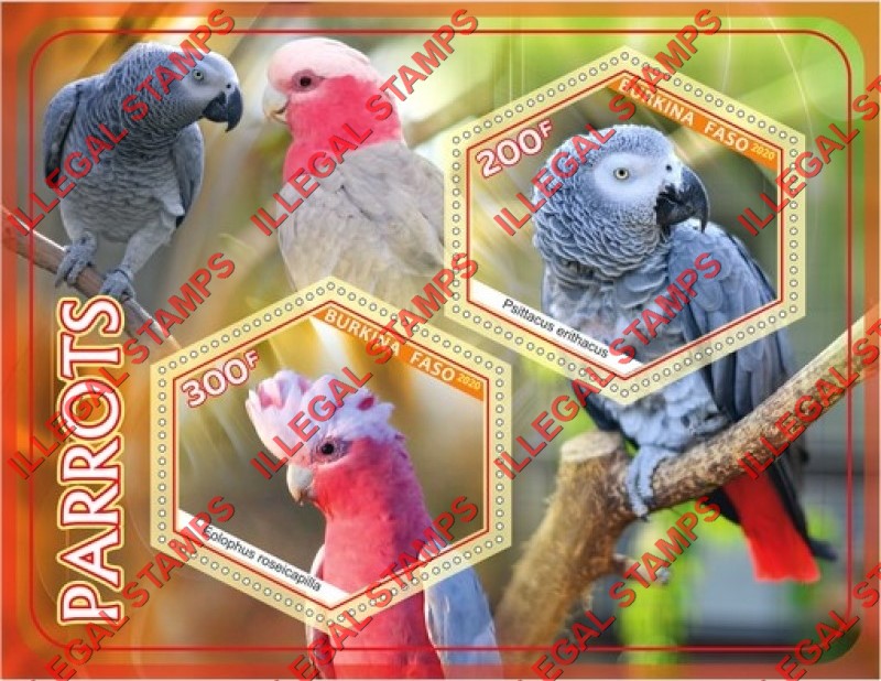 Burkina Faso 2020 Parrots Illegal Stamp Souvenir Sheet of 2