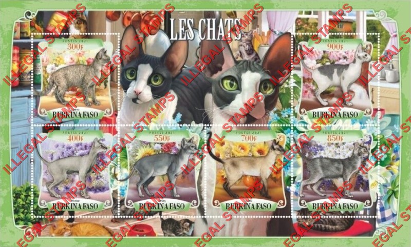 Burkina Faso 2021 Cats (different) Illegal Stamp Souvenir Sheet of 6