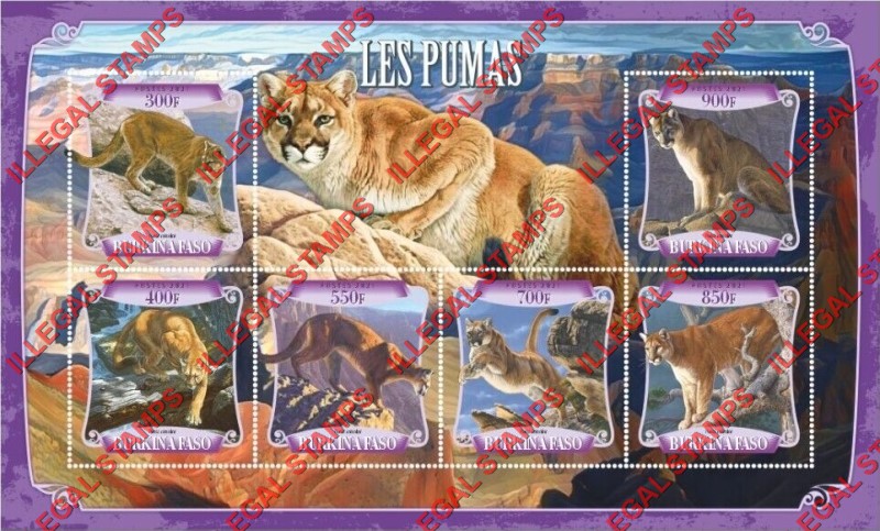 Burkina Faso 2021 Pumas Illegal Stamp Souvenir Sheet of 6