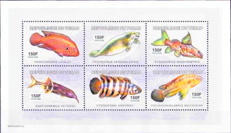 Chad 2003 Fish Souvenir Sheet of 6 Scott Number 964