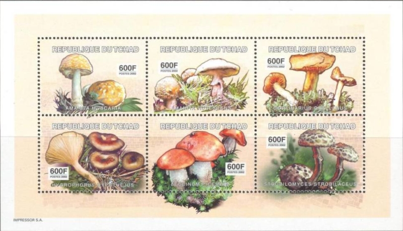 Chad 2003 Mushrooms Souvenir Sheet of 6 Scott Number 969