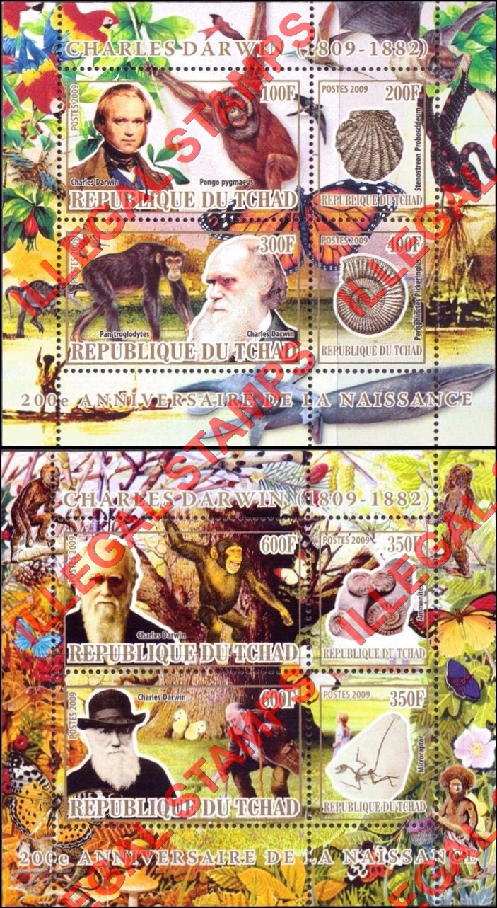 Chad 2009 Charles Darwin Monkeys and Fossils Illegal Stamps in Souvenir Sheets of 4