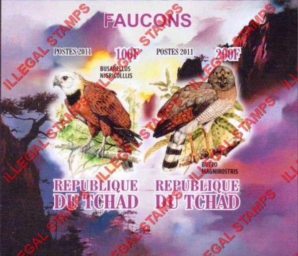 Chad 2011 Falcons Birds of Prey Illegal Stamps in Souvenir Sheet of 2