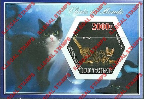 Chad 2014 Cats Illegal Hexagon Stamps in Souvenir Sheet of 1