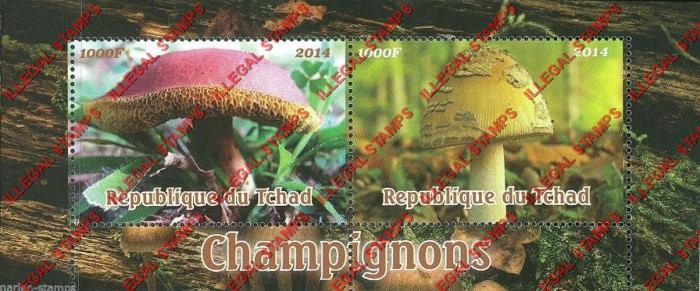 Chad 2014 Mushrooms Illegal Stamps in Souvenir Sheet of 2