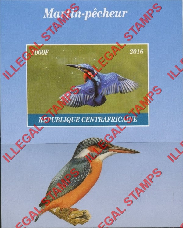 Chad 2016 Kingfishers Birds Illegal Stamps in Souvenir Sheet of 1
