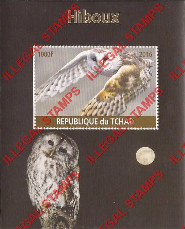 Chad 2016 Owls Illegal Stamps in Souvenir Sheet of 1